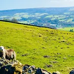 Fox - Cosy On Pateley High Street 度假居 佩特利布里奇