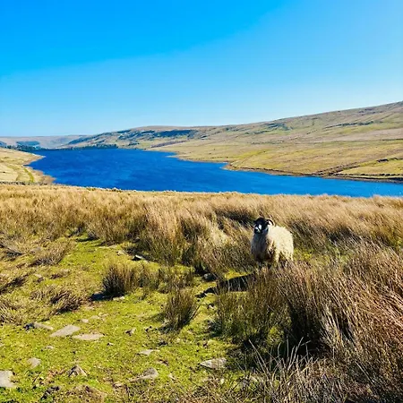 بيت للعطل Fox - Cosy On Pateley High Street جسر باتيلي
