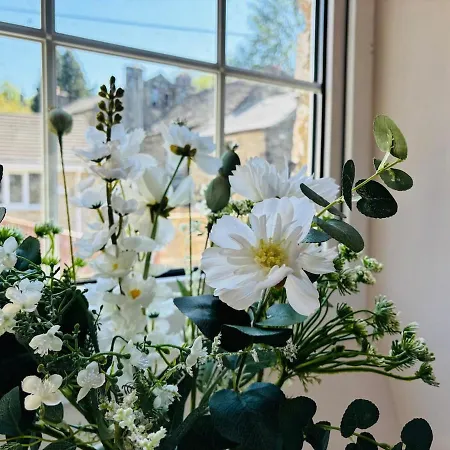 Fox - Cosy On Pateley High Street